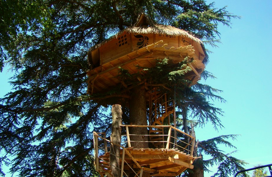 cabane-arbre-cedre