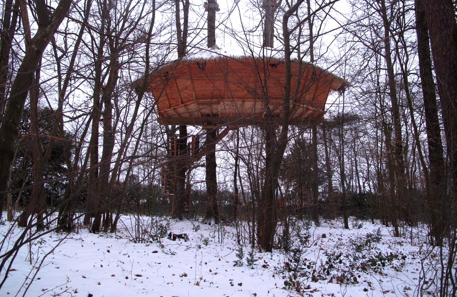 cabane-arbre-neige