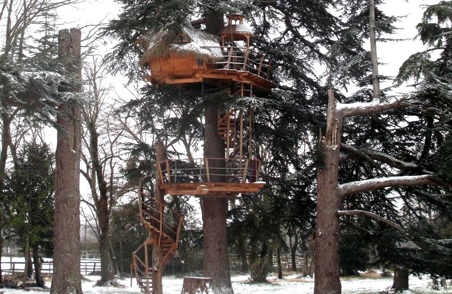 cabane-arbre-neige