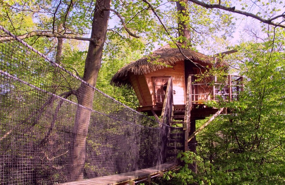 cabane-arbres-insolite