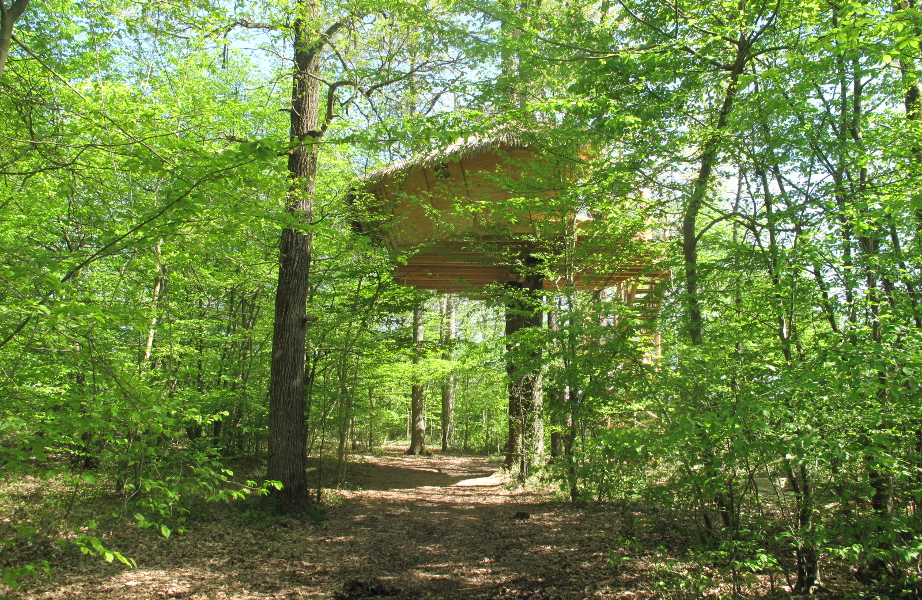 cabane-dans-les-abres-ecureuils-foret