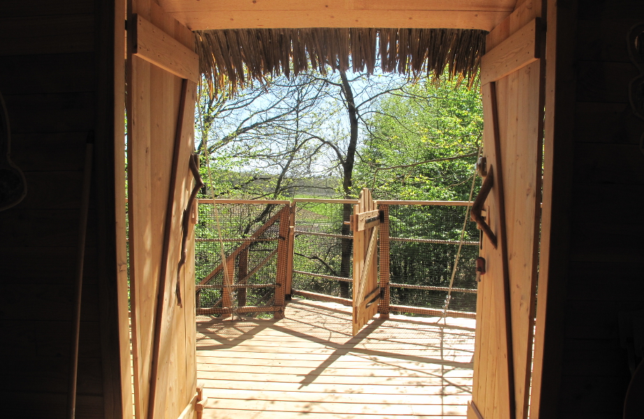 cabane-dans-les-abres-ecureuils