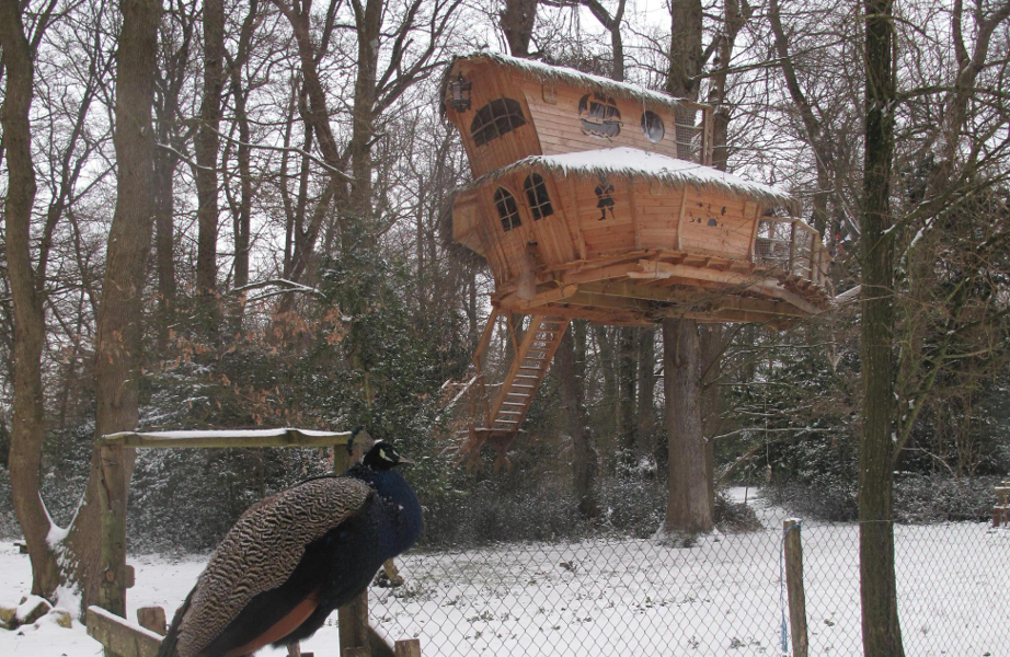 cabane-dans-les-arbres-hiver