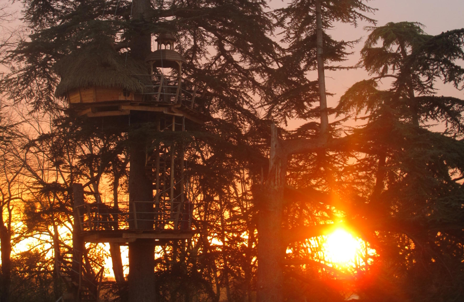 cabane-dans-les-arbres-soleil-couchant