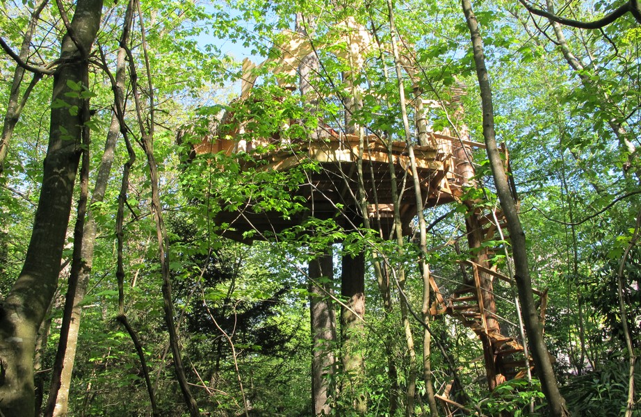 cabanes-arbres-foret
