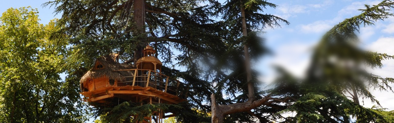 cabane-arbres-couple