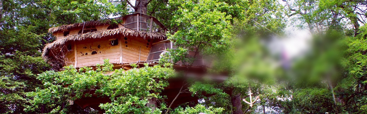 cabane-arbres-famille