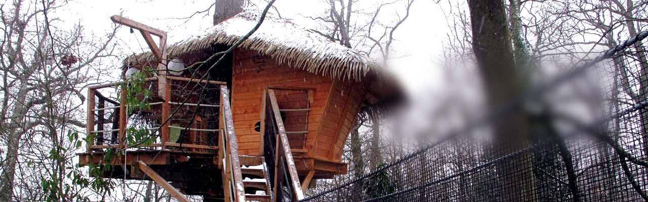 cabane-arbres-hiver