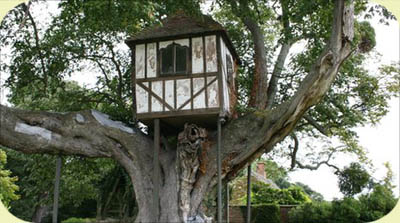 maison-arbre-pitchford-hall